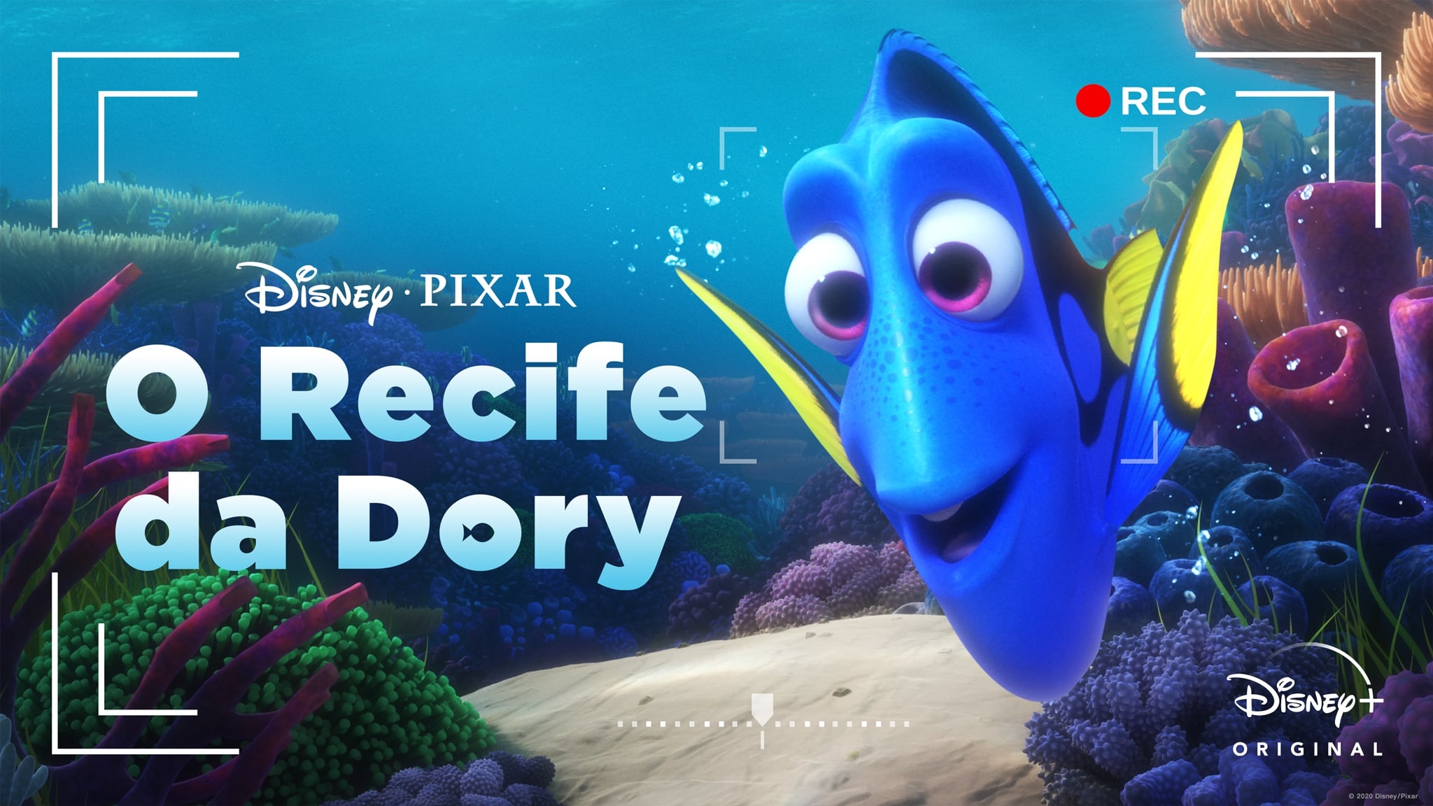 Dory's Reef Cam (2020). 