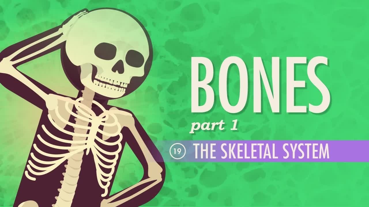Episode 19