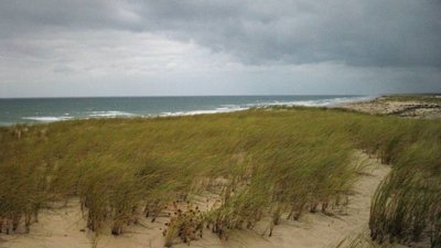 Thumbnail for Episode 6 Season 1 Episode 6