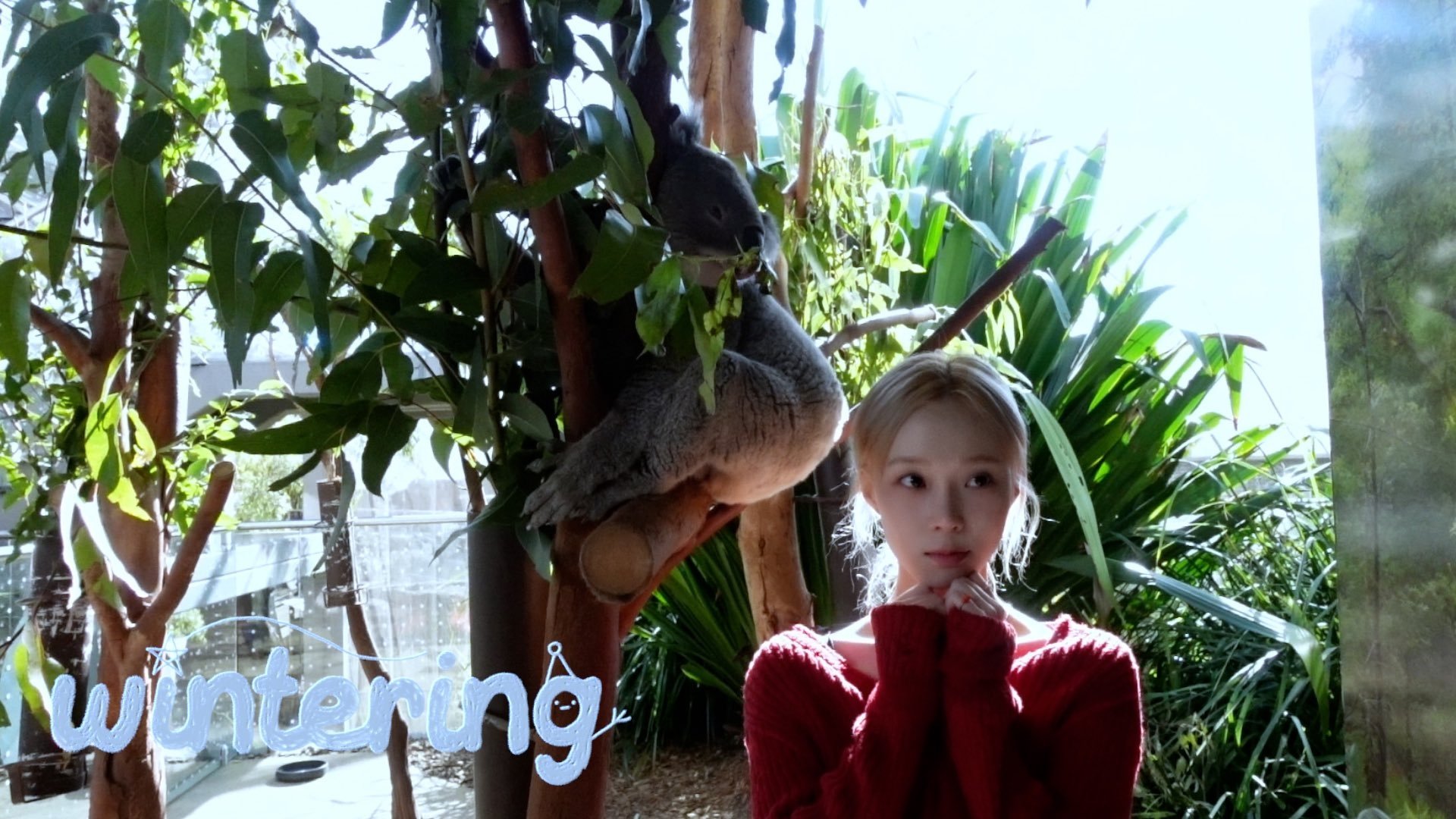 Thumbnail for WINTER in Sydney 🐨🎶 Season 1 Episode 6