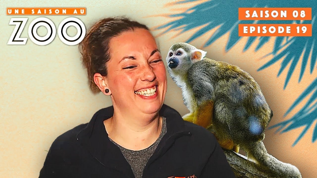 Une saison au zoo - Episode 19