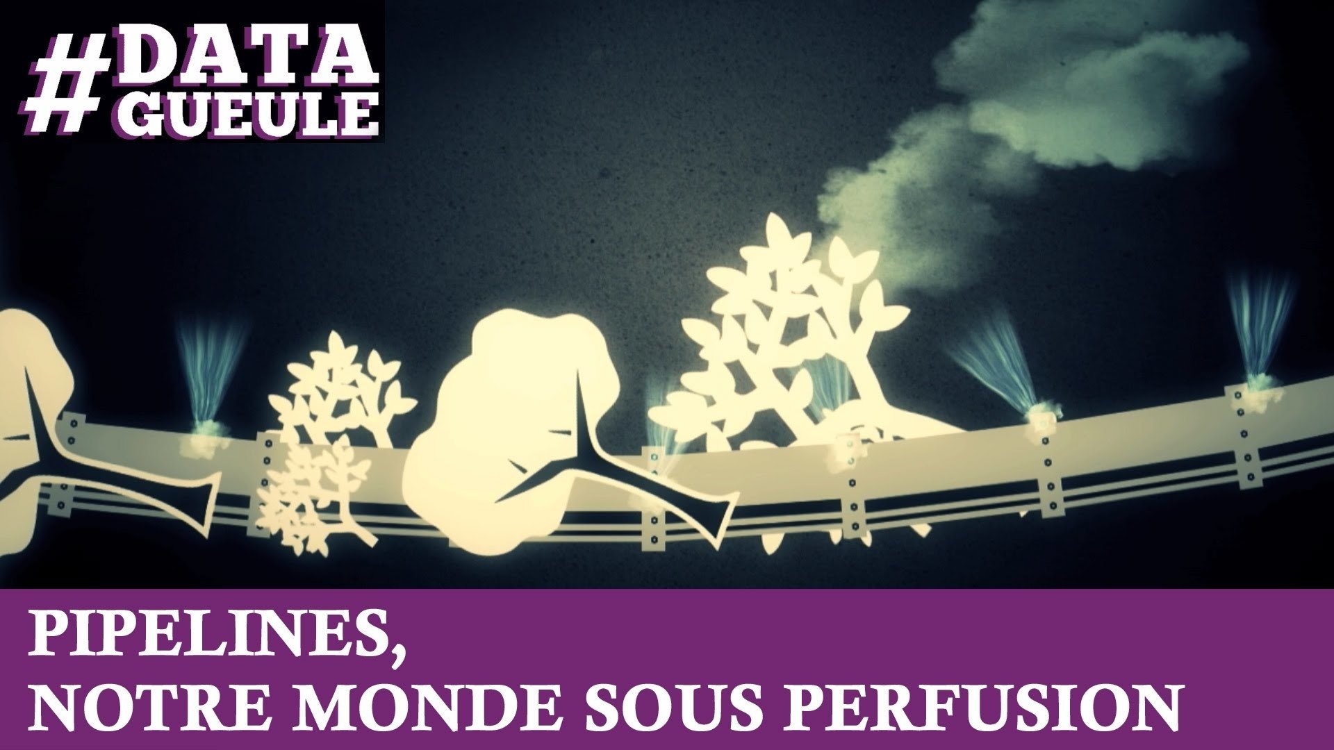 Data Gueule - Pipelines, notre monde sous perfusion