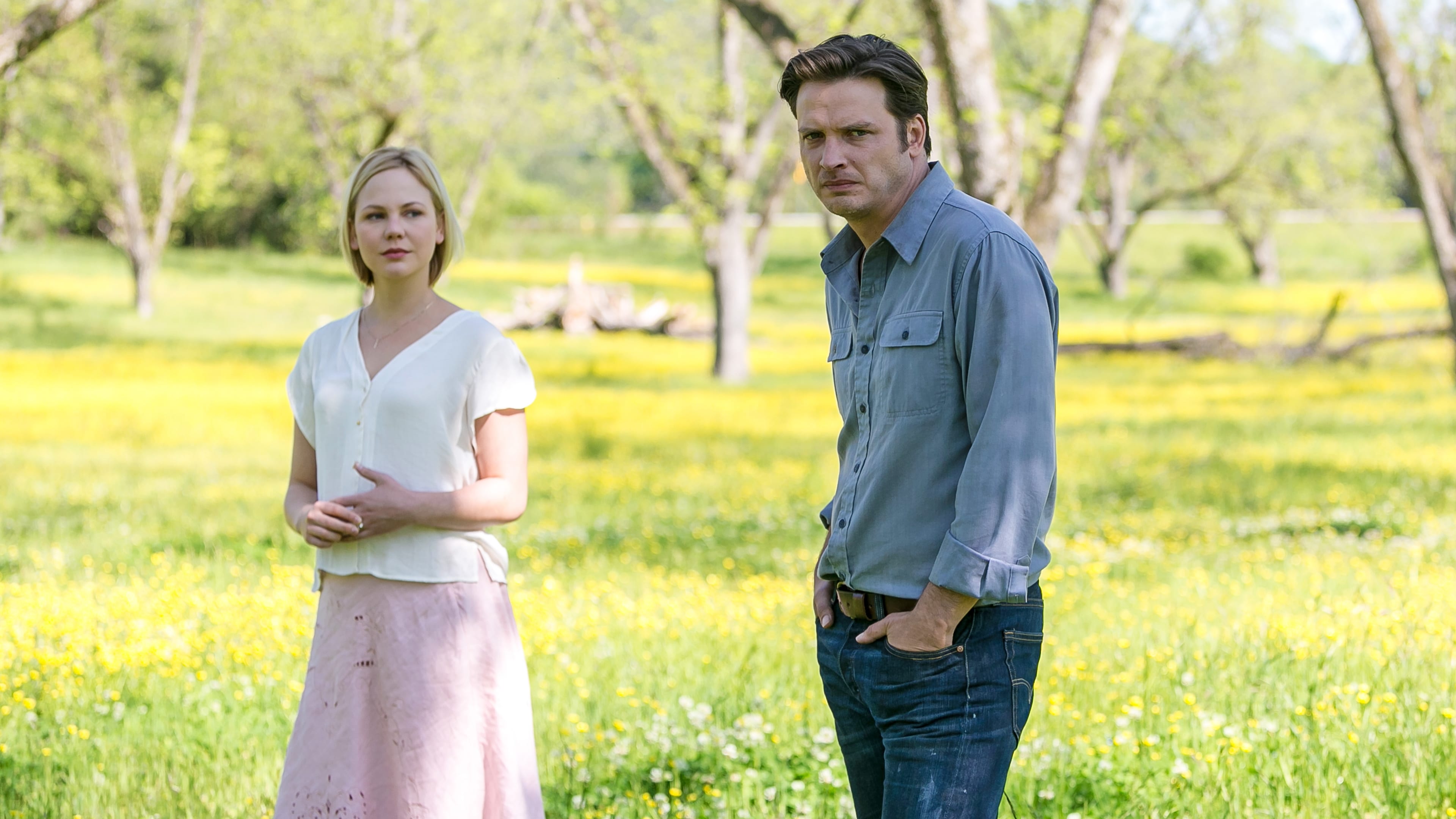 Rectify