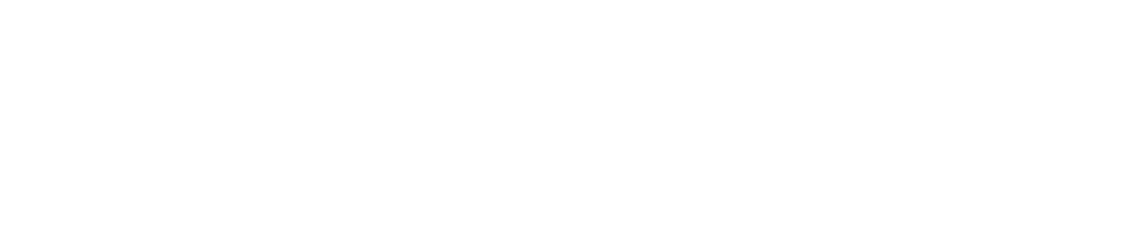 The Beauty Queen of Jerusalem Logo