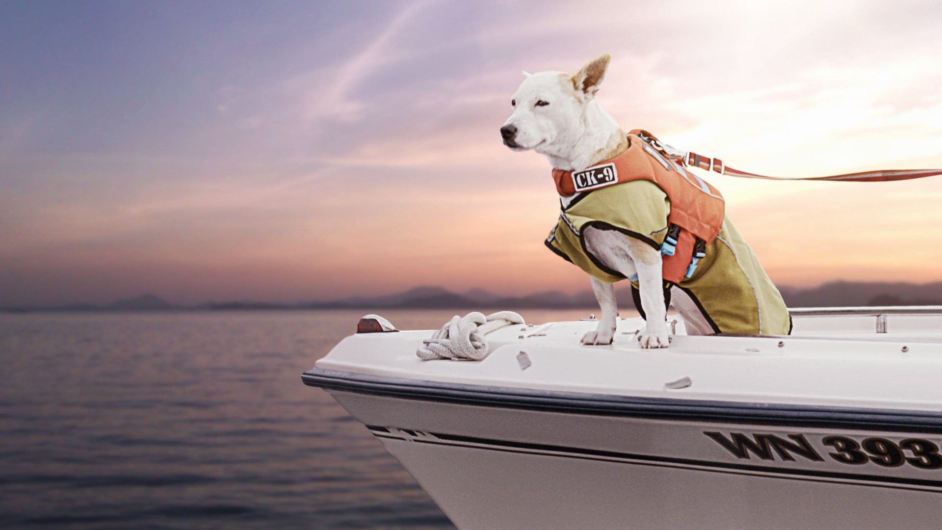 It's a Dog's Life With Bill Farmer