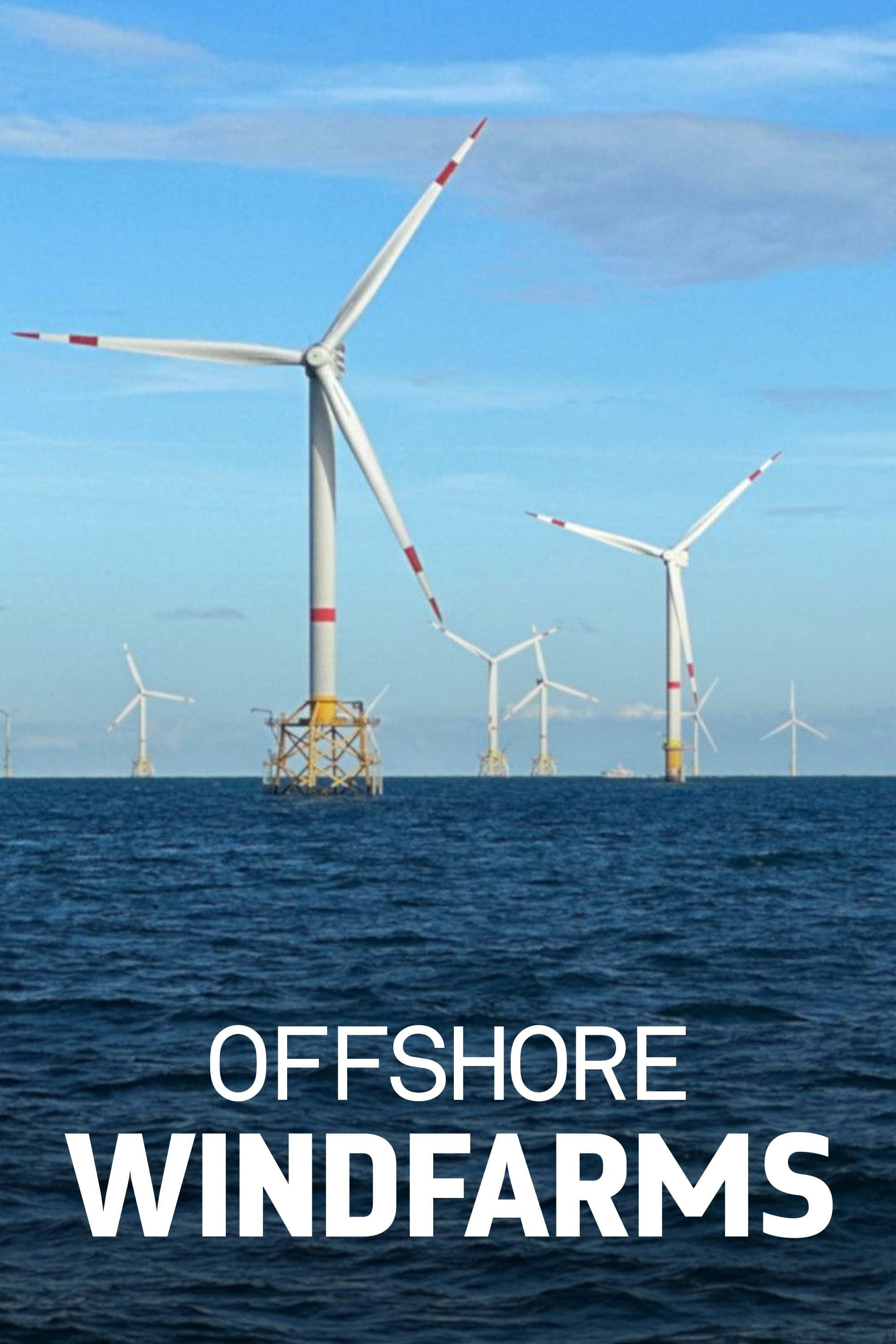 Windparks im Meer - Chance oder Risiko f&uuml;r die Natur?