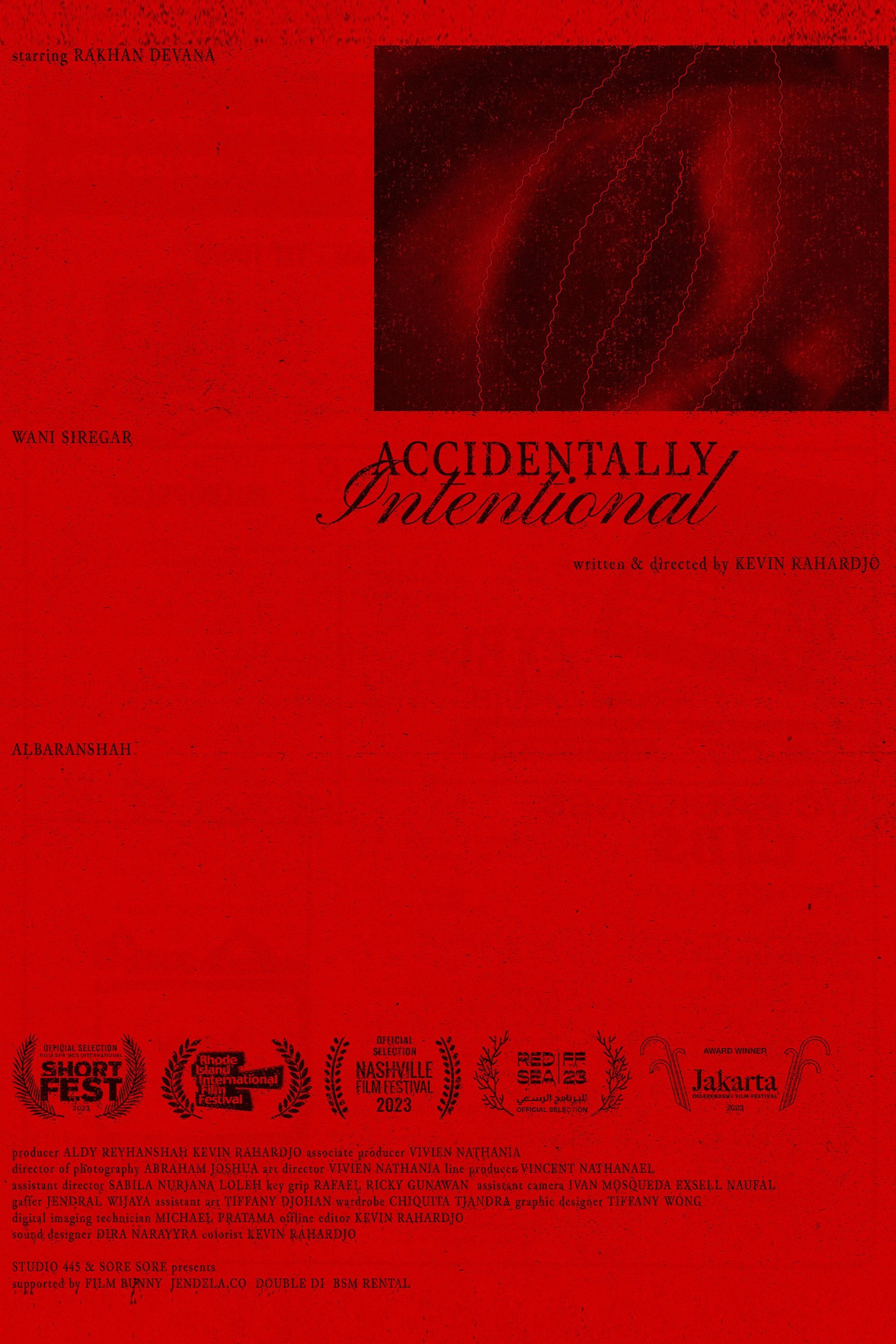 Accidentally Intentional Accidentally Intentional