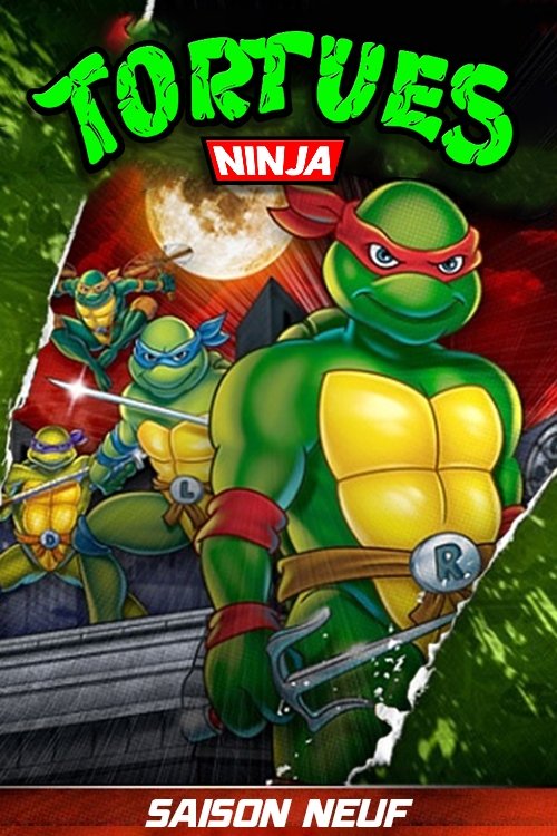 Artwork de la saison 1 de Les Tortues Ninja : Les Chevaliers d'écaille