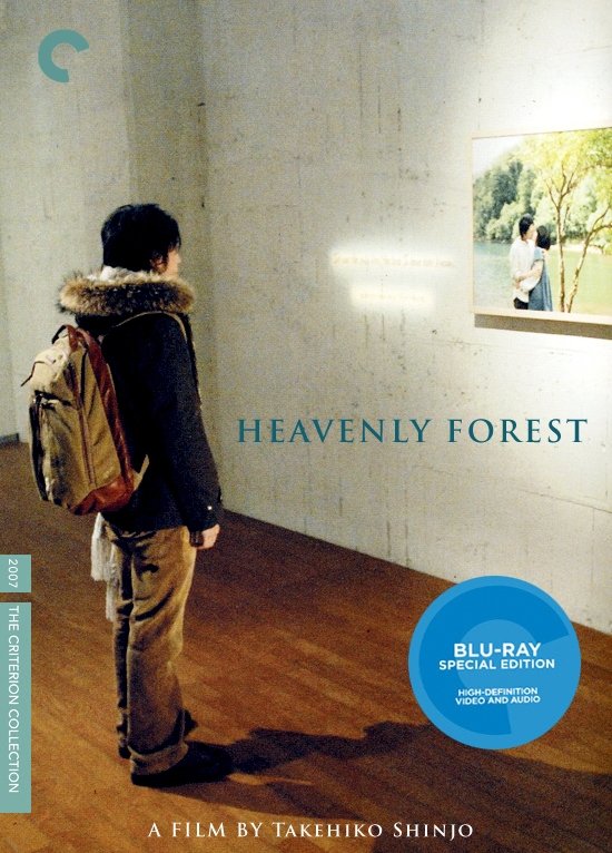 Heavenly Forest
