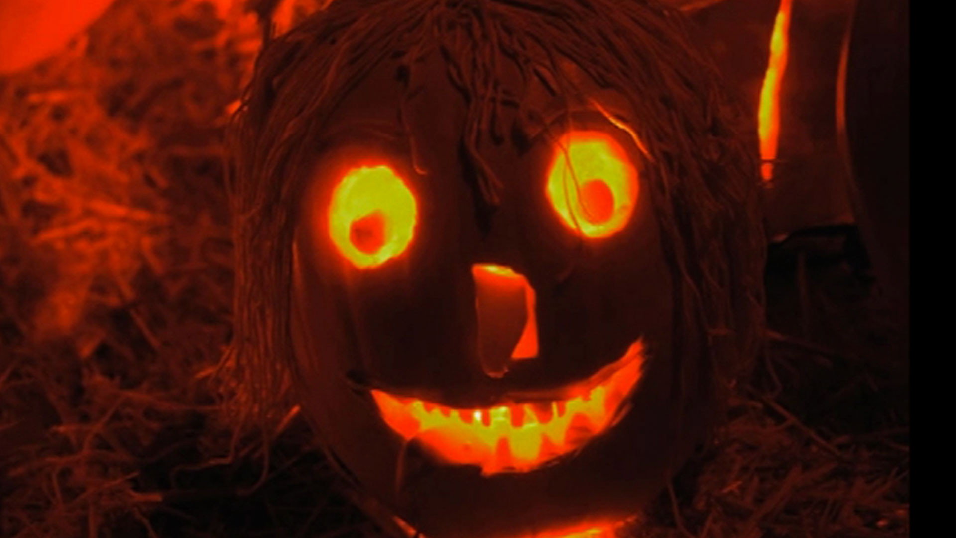 The Haunted History of Halloween