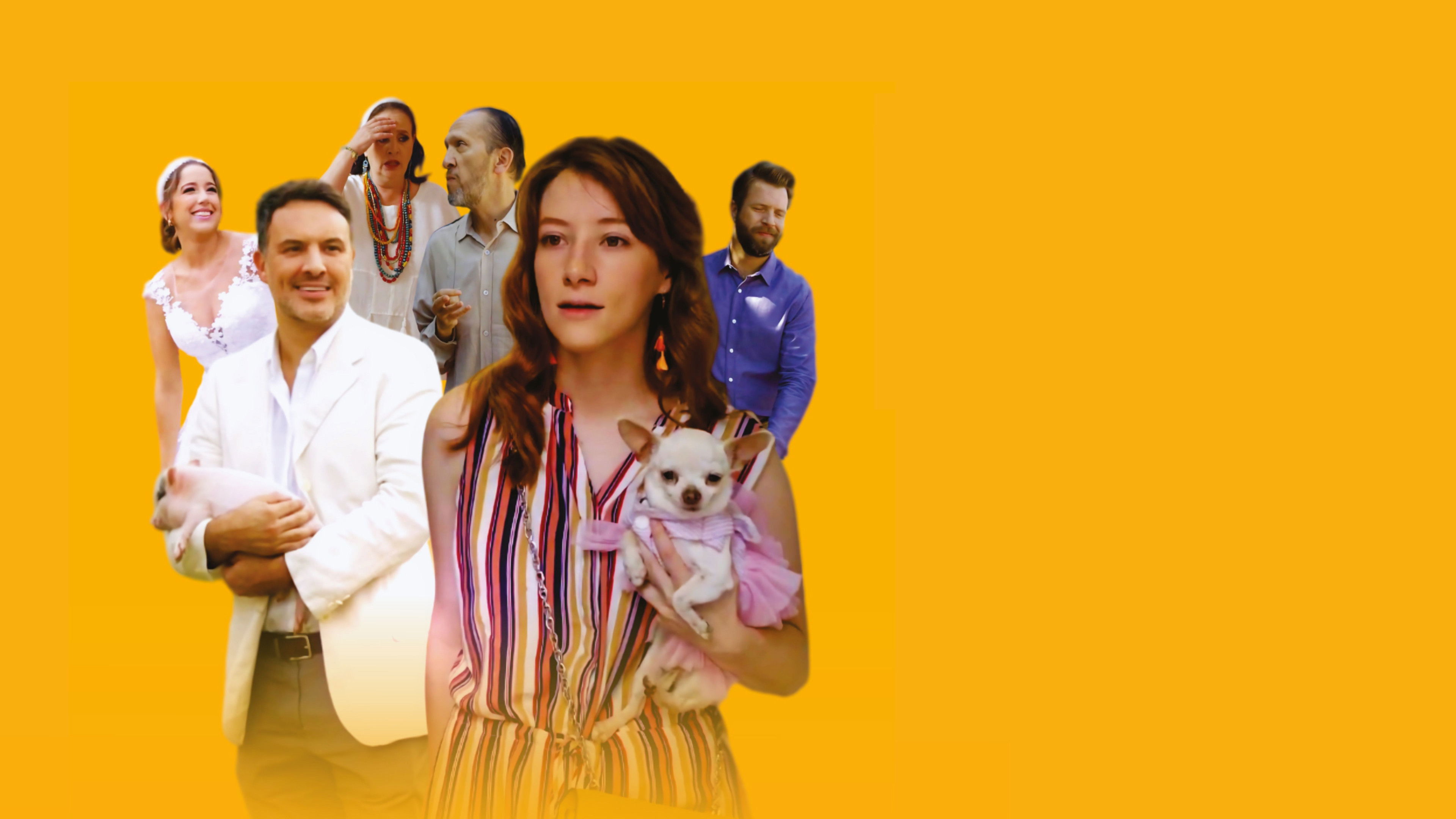 Imagem do Filme Una artista en la familia