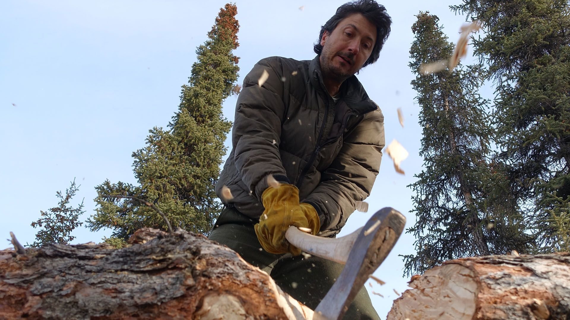 Life Below Zero