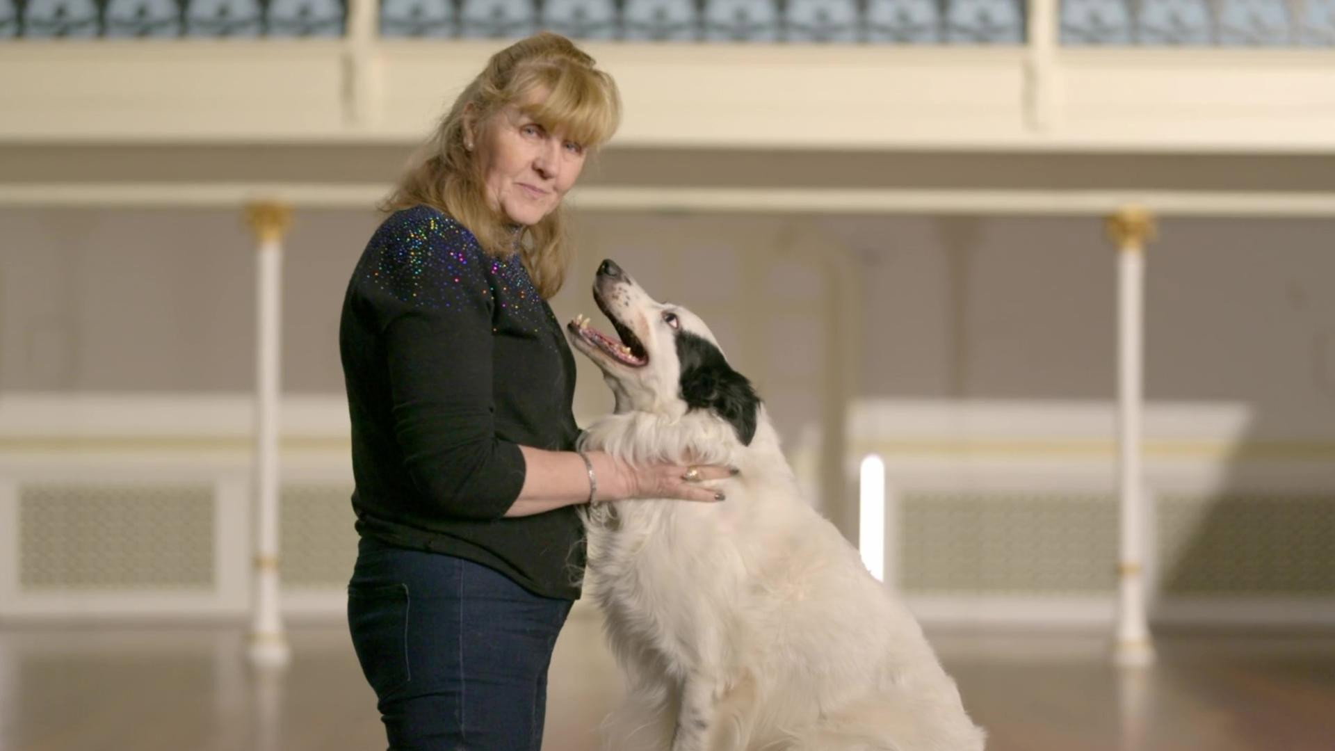 The Secret Life of Dancing Dogs S01E06 backdrop