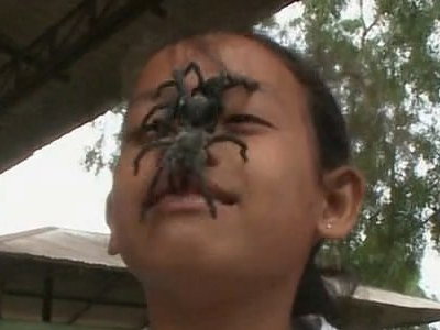S1E3 · Spider Eaters, Kung Fu Monks, and Vampire Bats