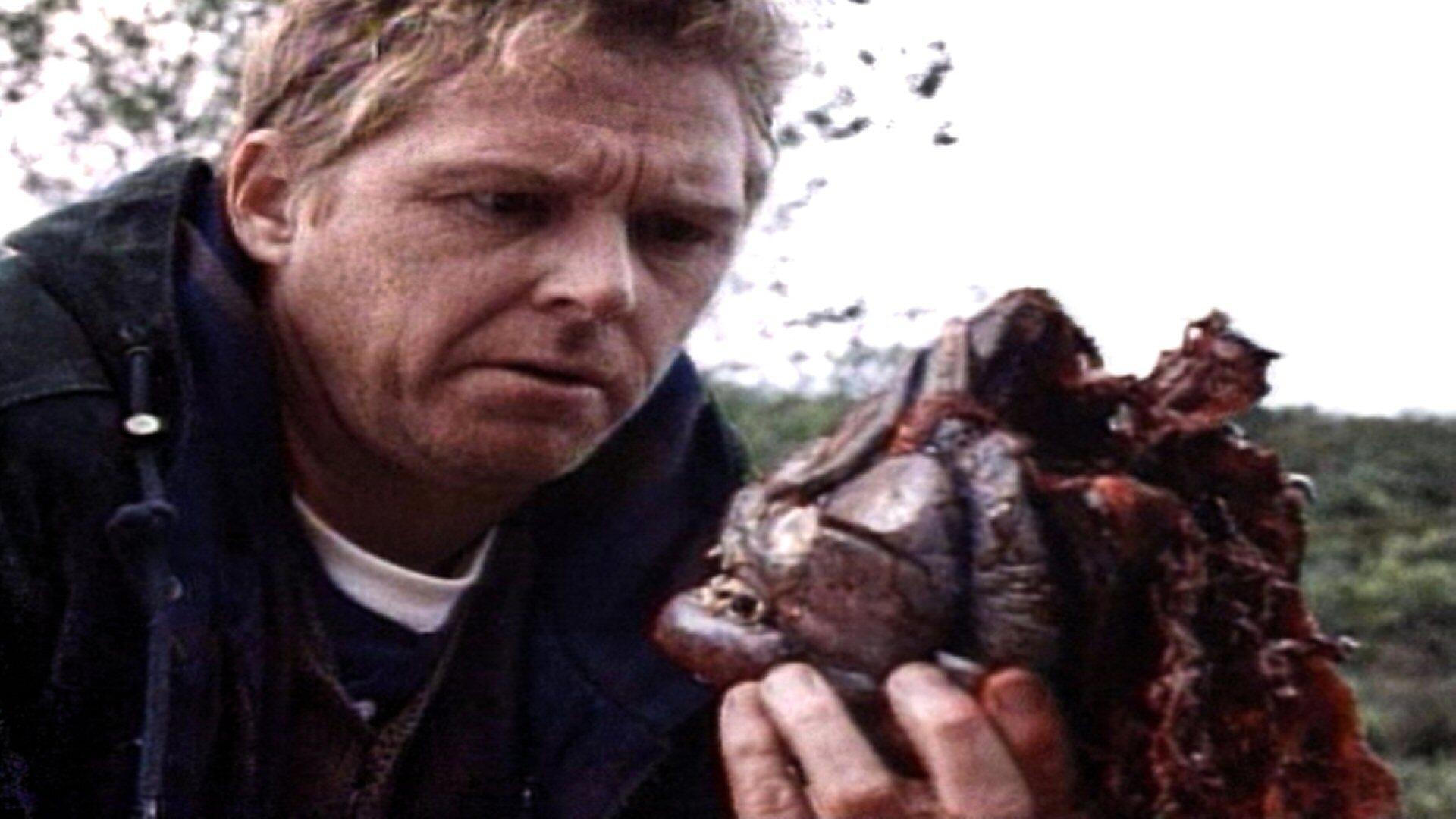 Piranhas (1995)