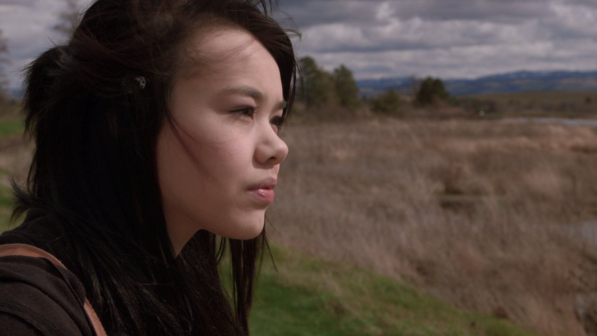 Paper Tigers (2015)