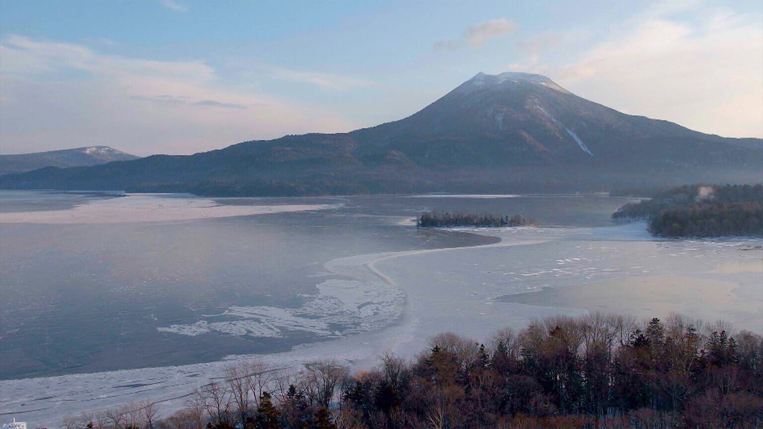 Wild Hokkaido!