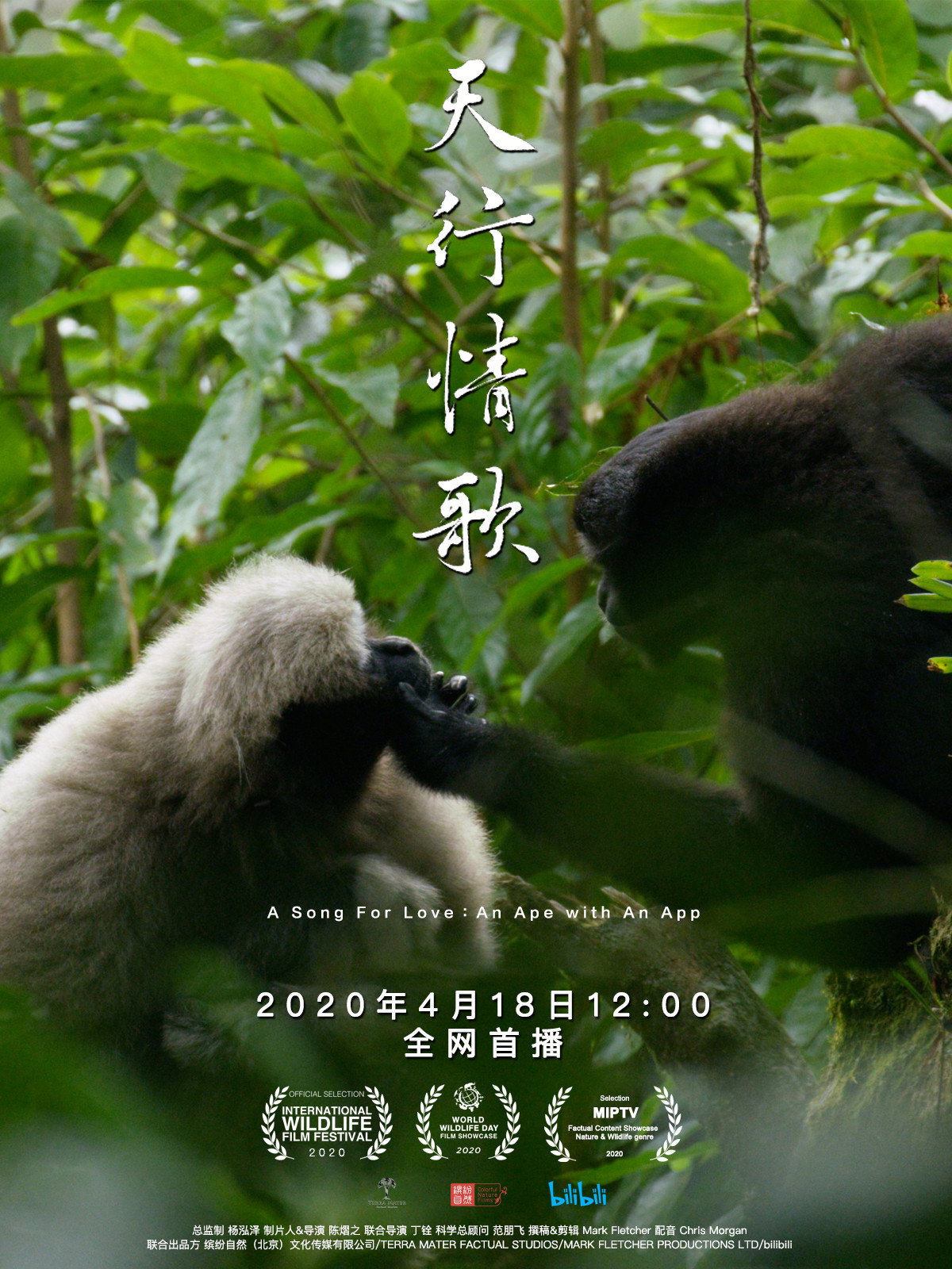 A Song for Love – An Ape with an App