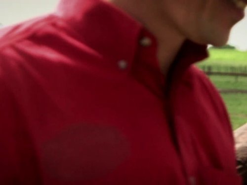 Richard Hammond's Crash Course