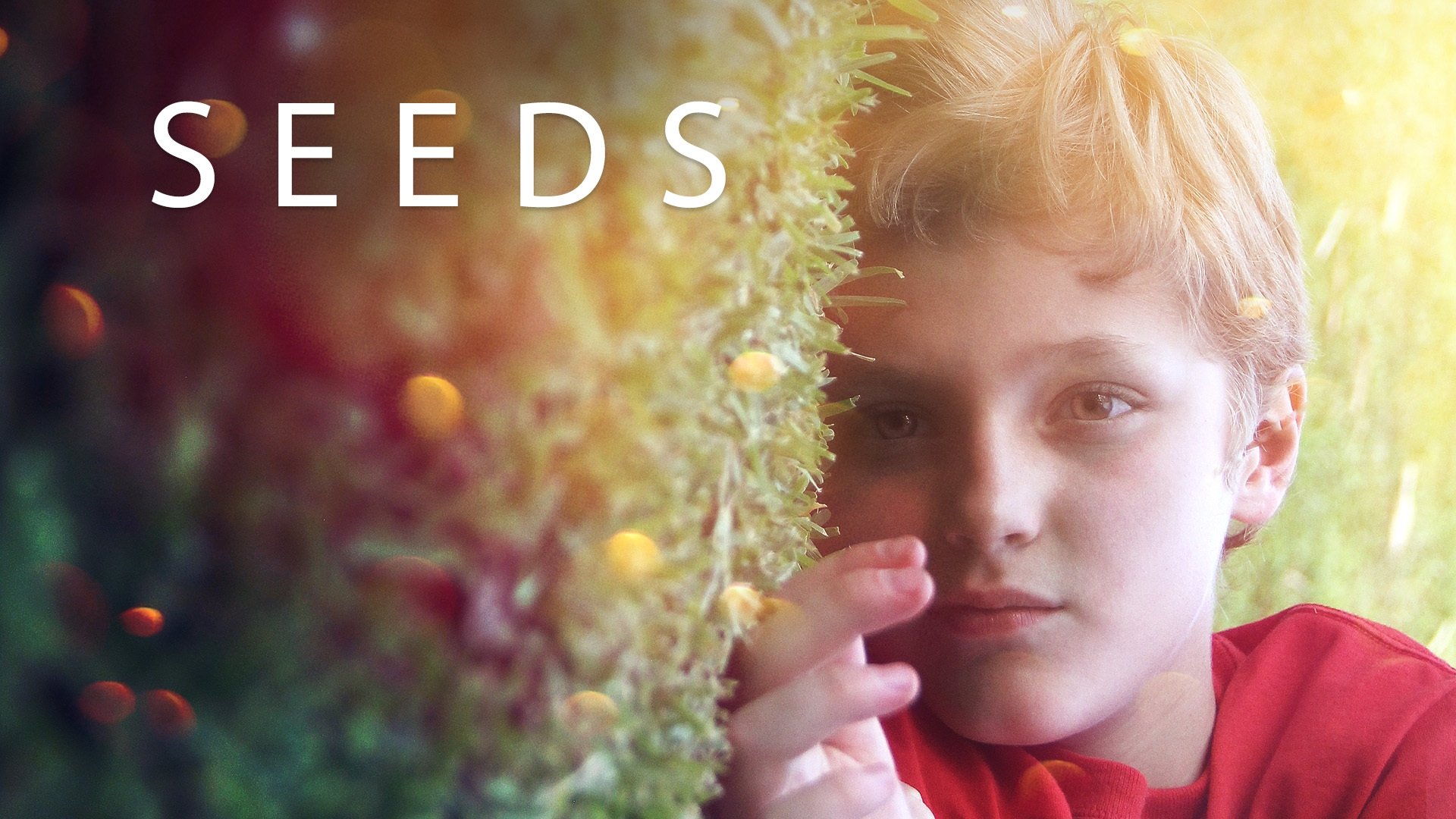 Seeds (2018)