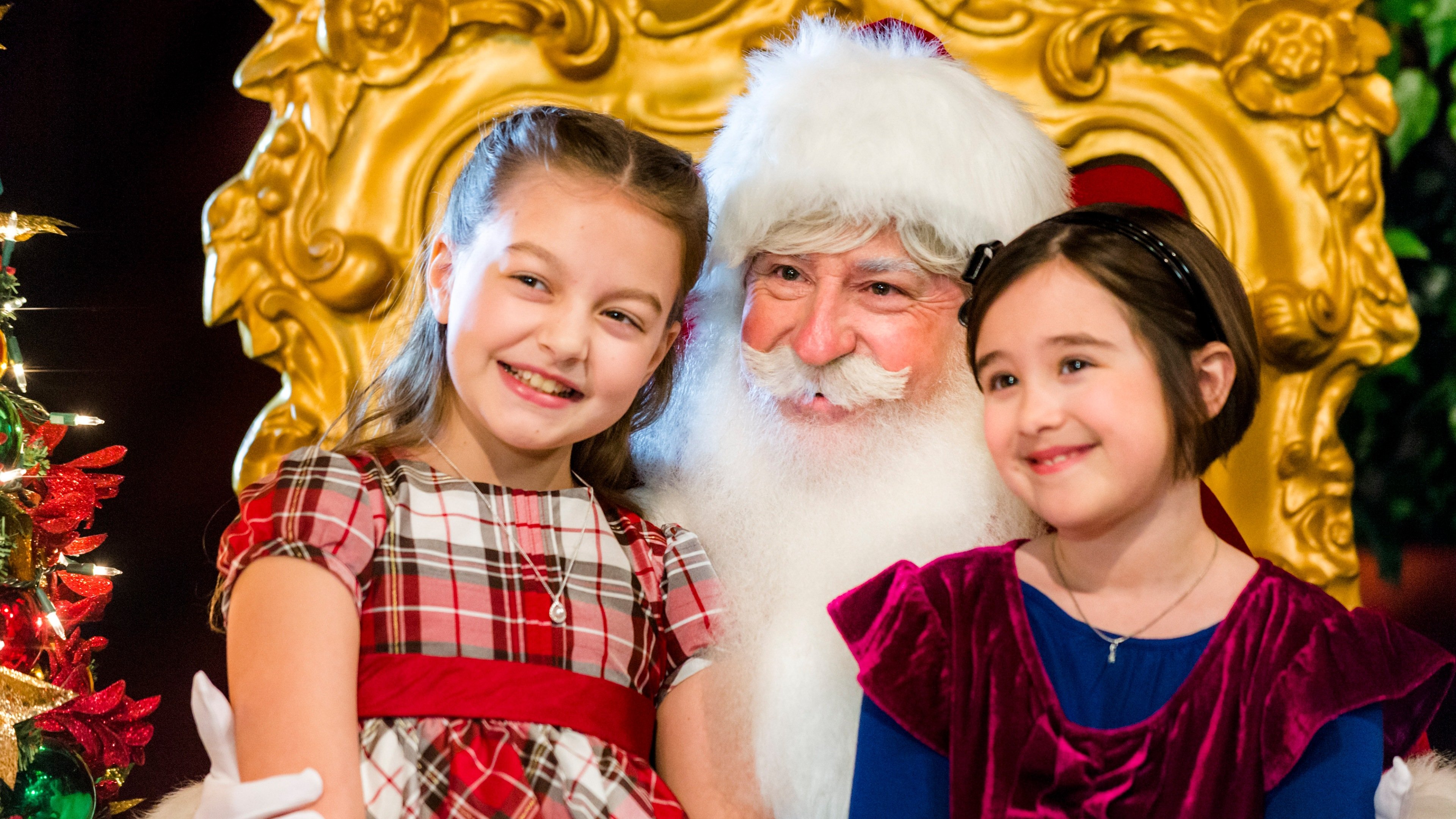 Family for Christmas (2015)