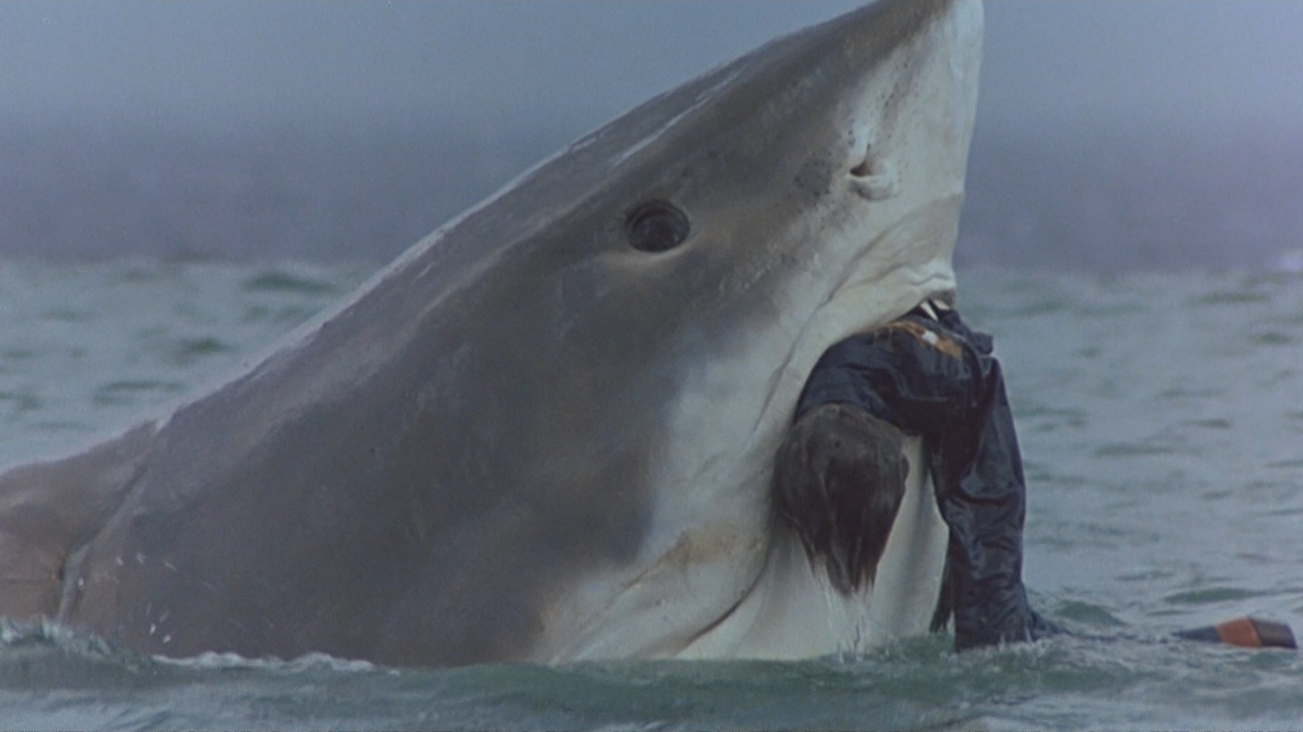 Cruel Jaws (1995)