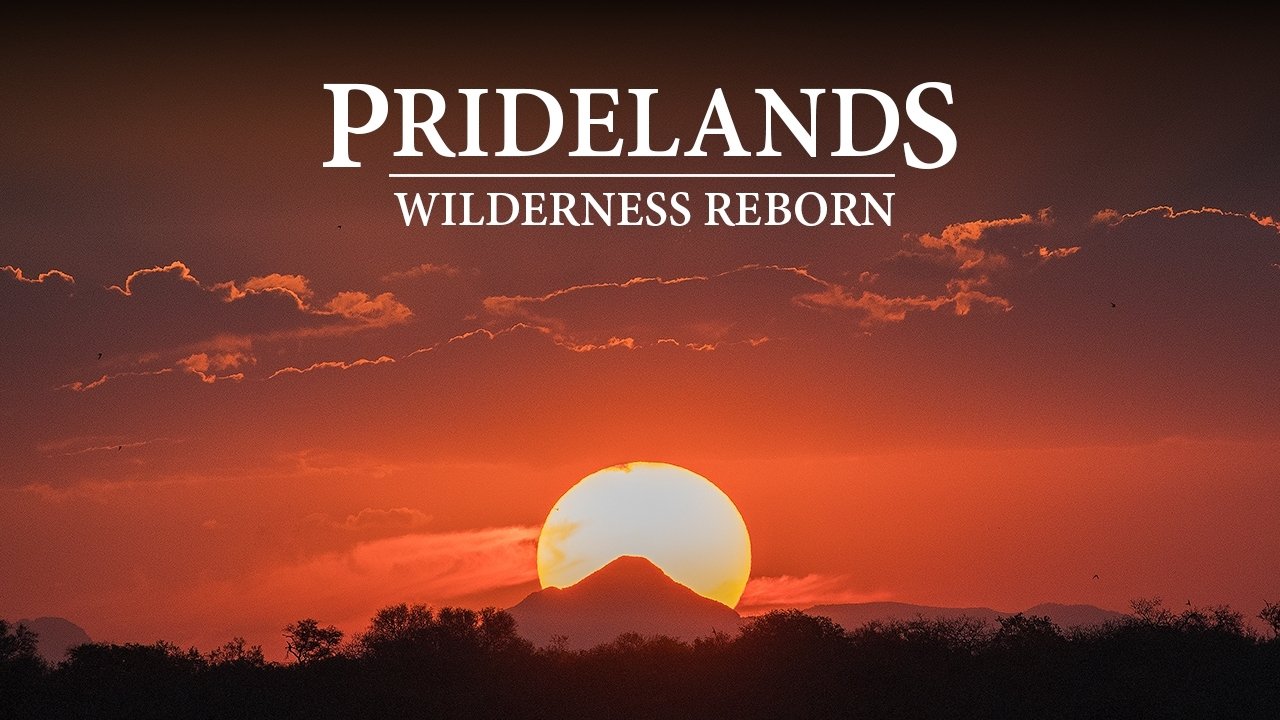 Pridelands: Wilderness Reborn poster