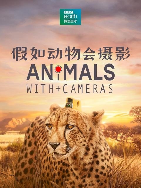 Animals with Cameras - Season 1