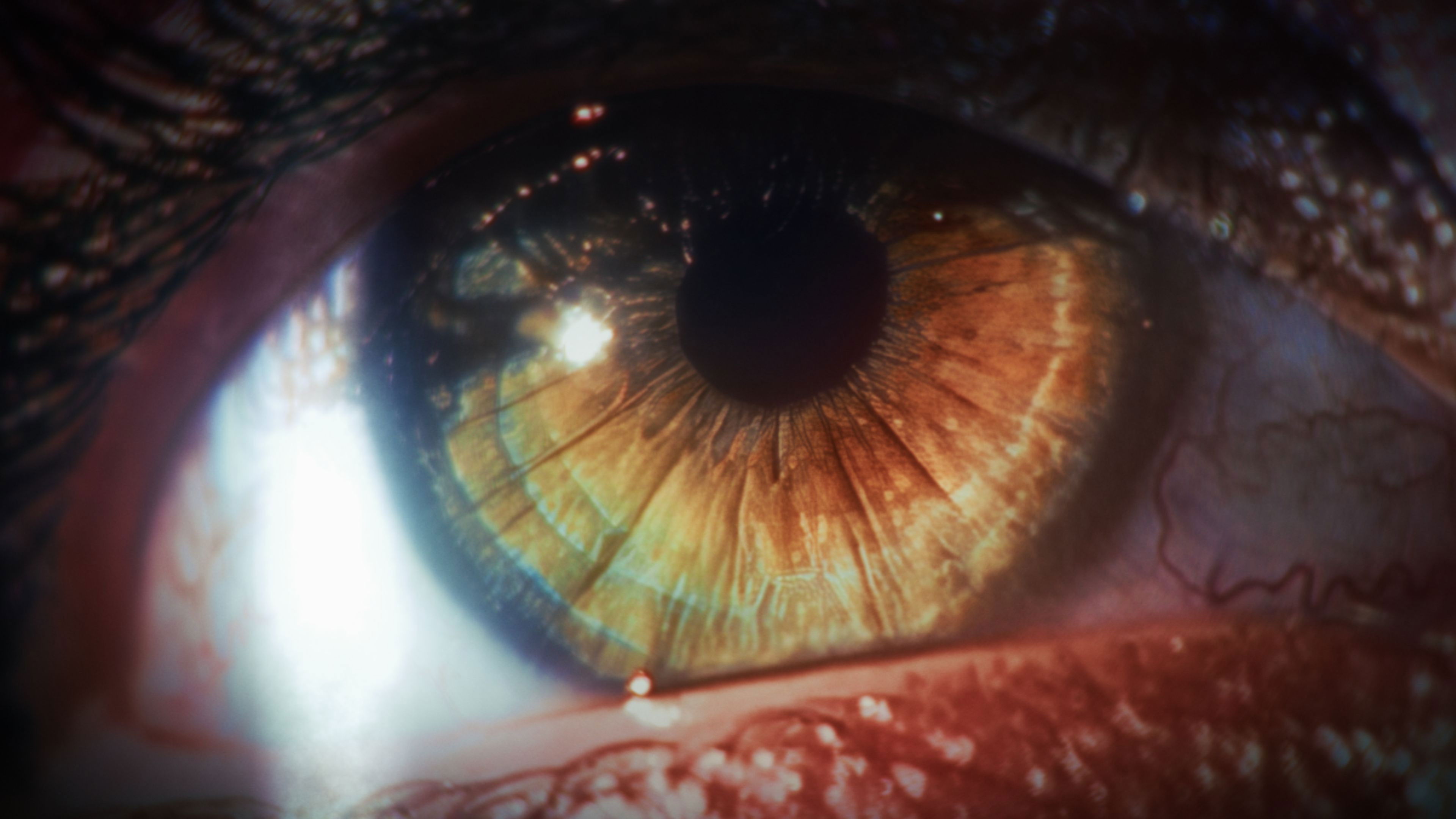 The Art Of Self Destruction Background