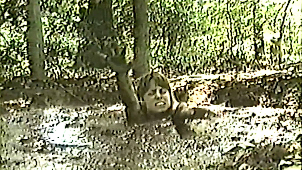 Damsel in Distress 3