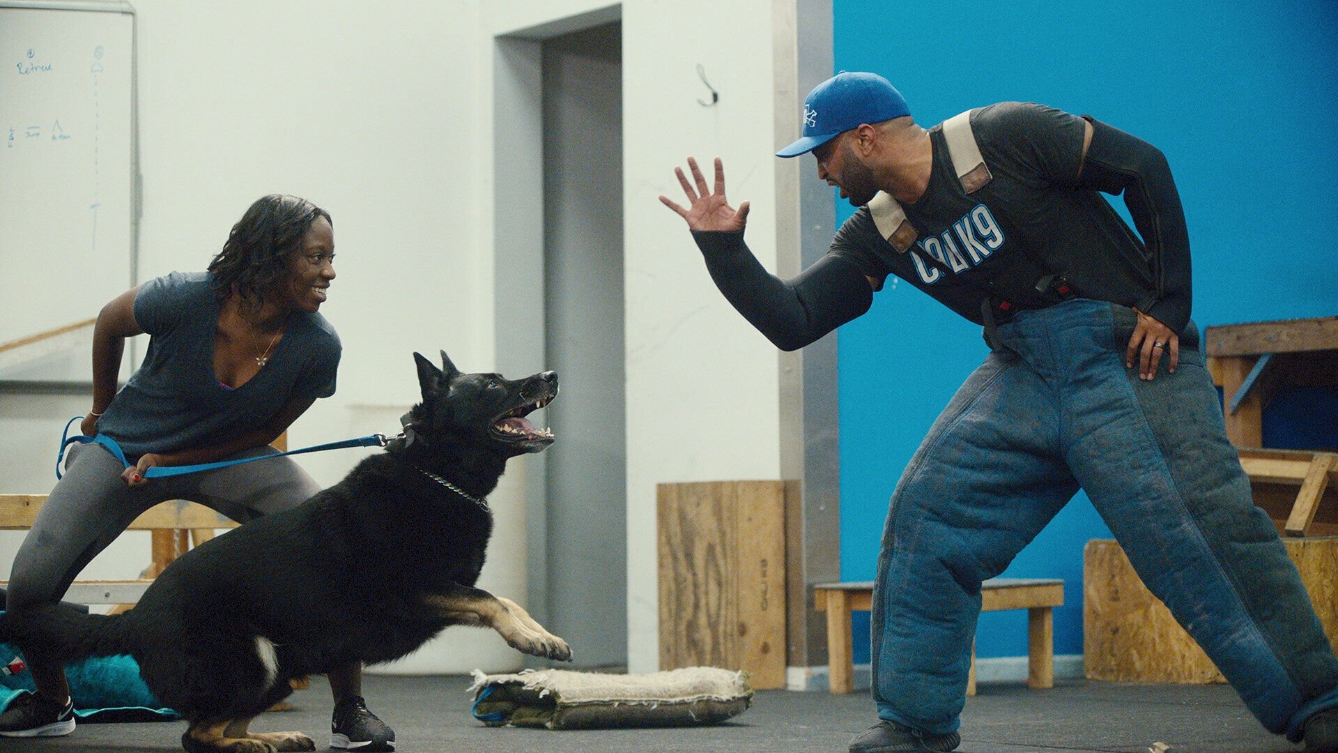 Canine Intervention