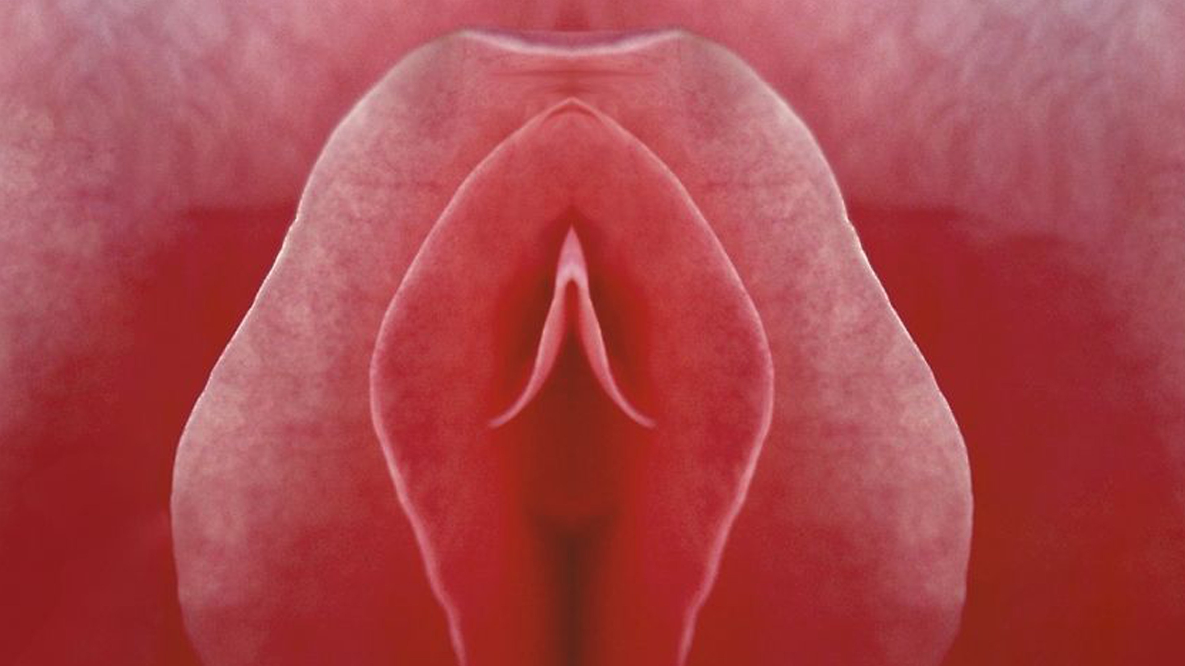 Mon nom est clitoris (2019)