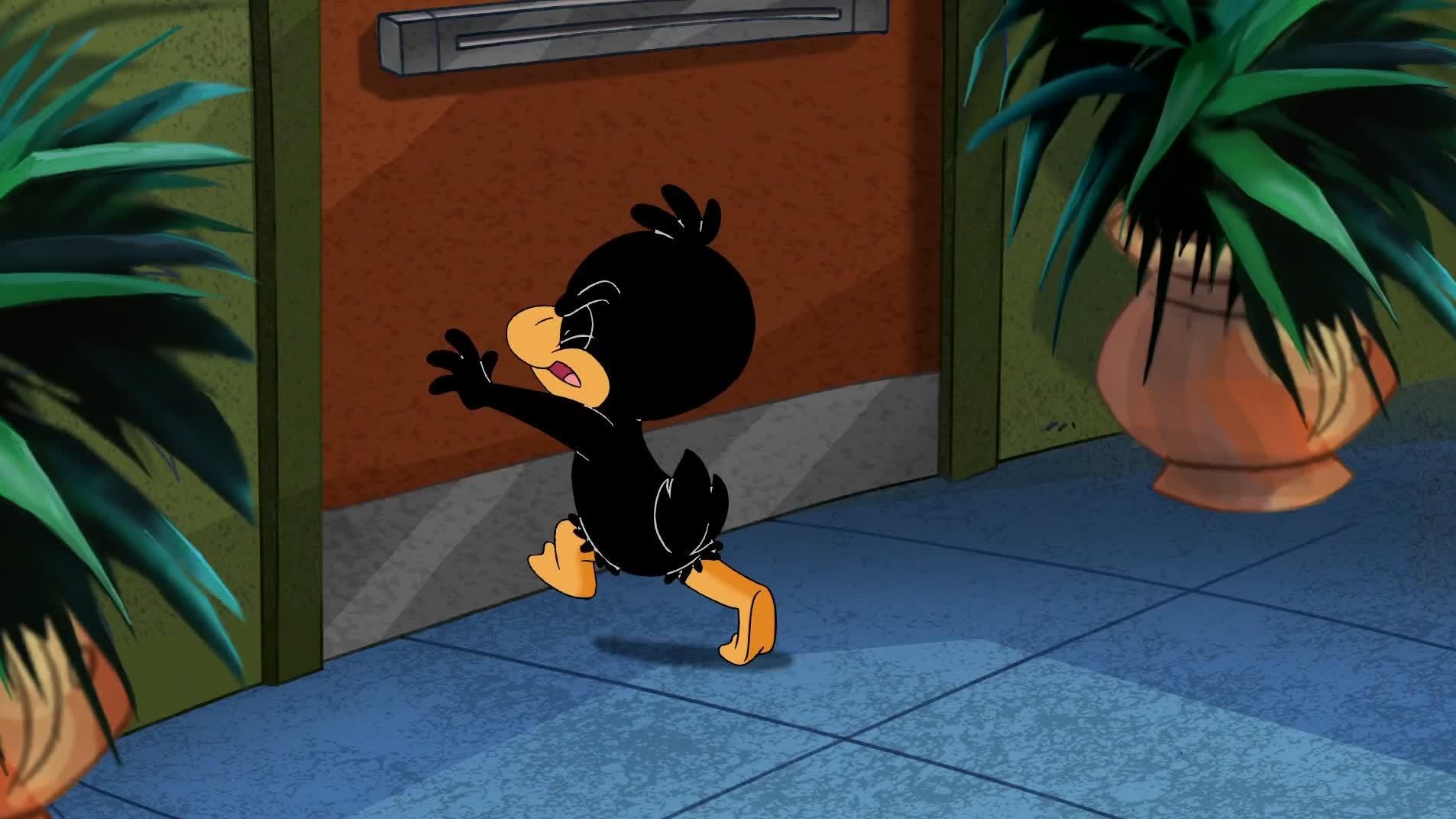 Baby Looney Tunes