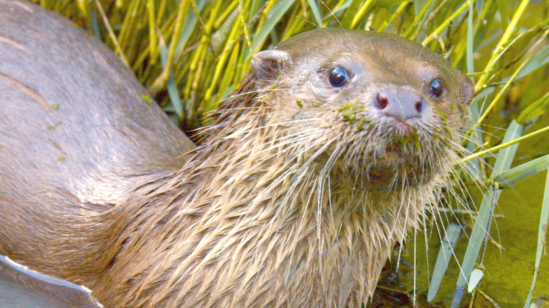 Earth Odyssey with Dylan Dreyer S07E08 backdrop