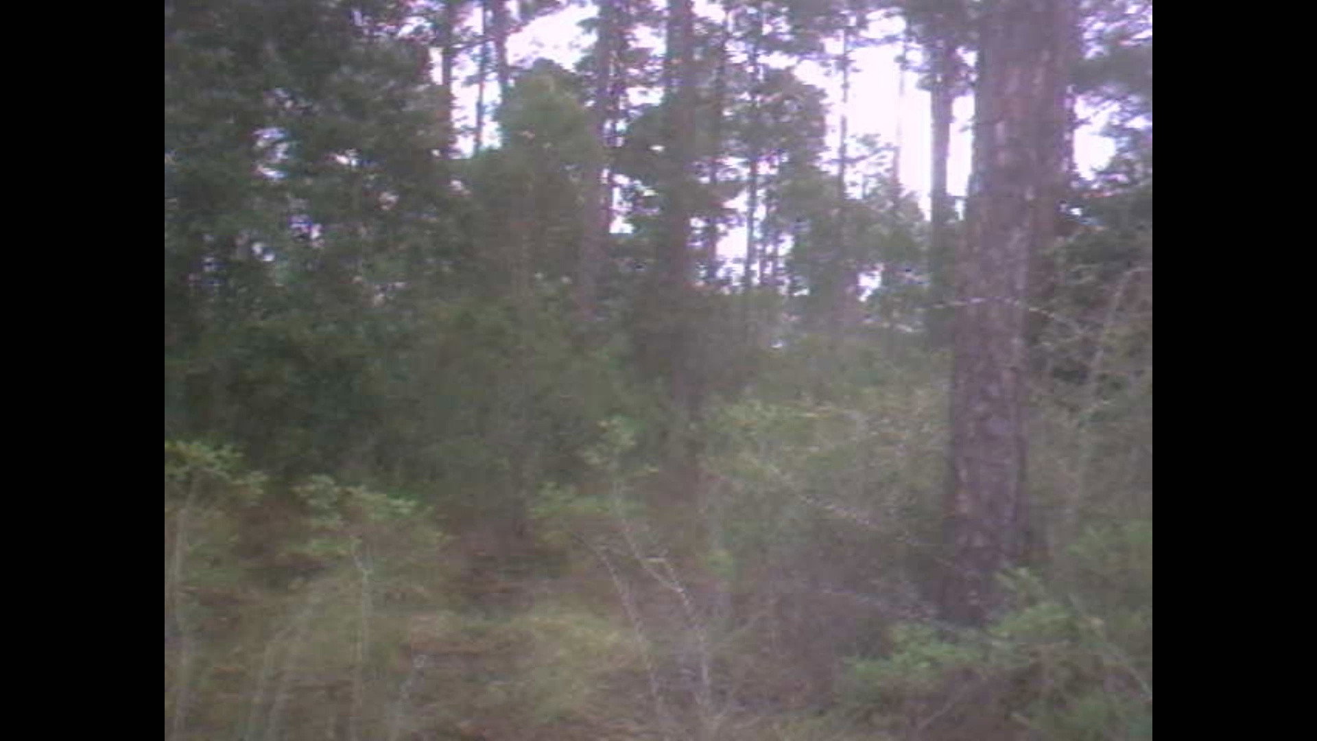 Past & Present Memories