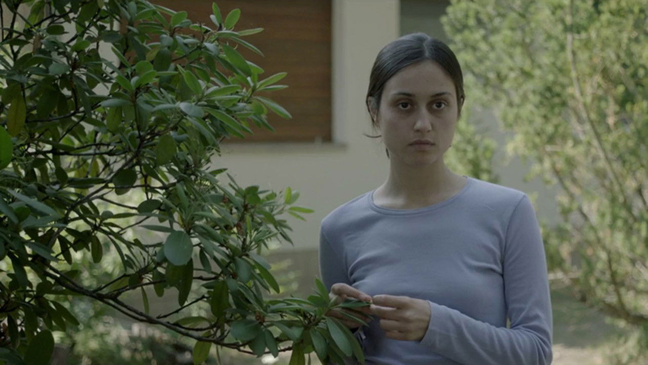 Media Ein Fisch, der auf dem Rücken Schwimmt (Film, 2020)