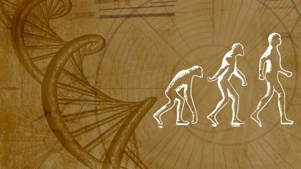 Thumbnail for Debunking Evolutionary Myths Season 1 Episode 2