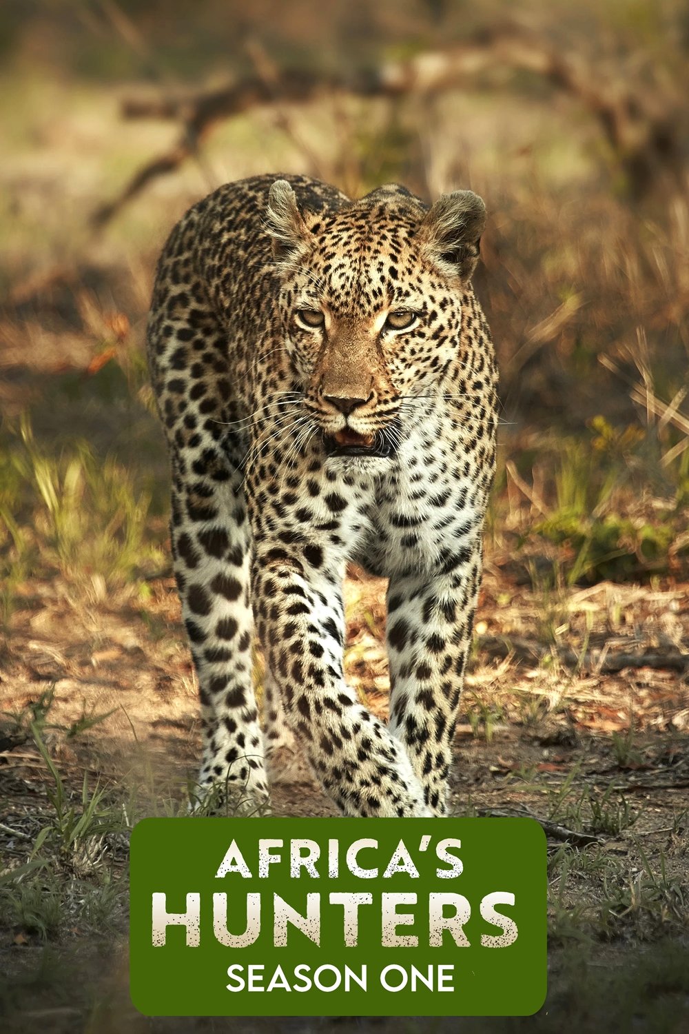 Africa's Hunters - Season 1