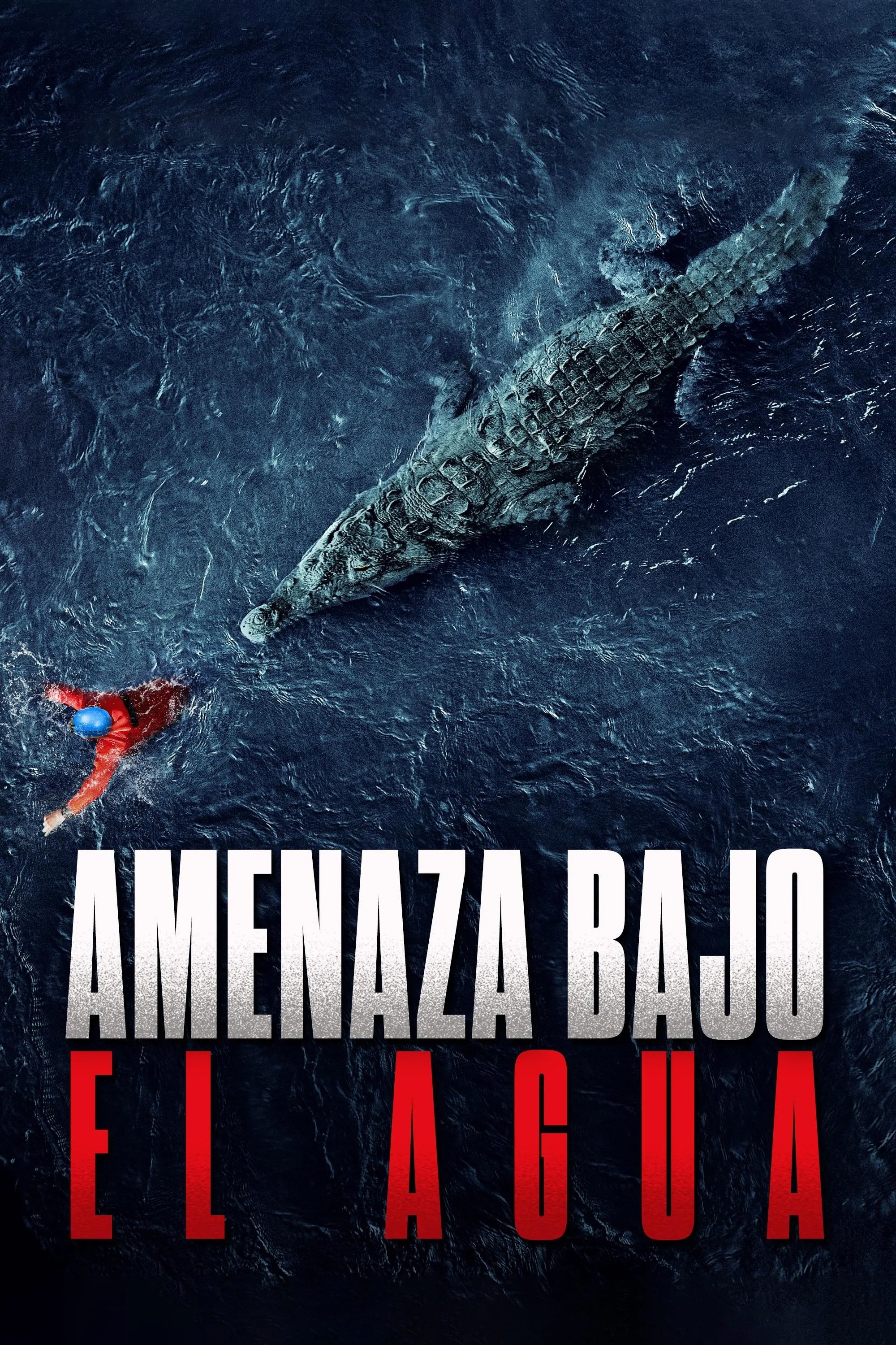 Poster 4