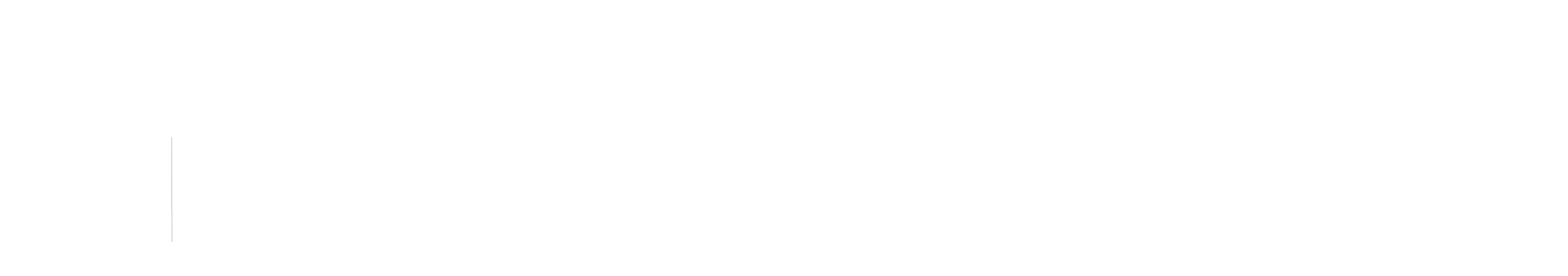 Tidal Wave Logo