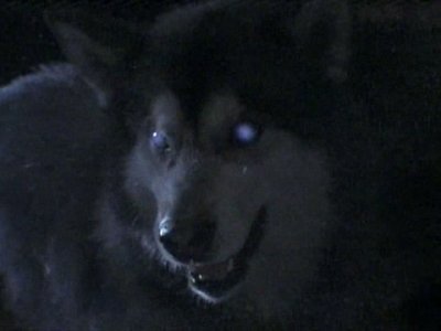 Episode 7