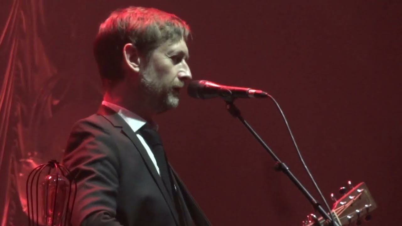 The Divine Comedy - This is not a Love Song (2016)
