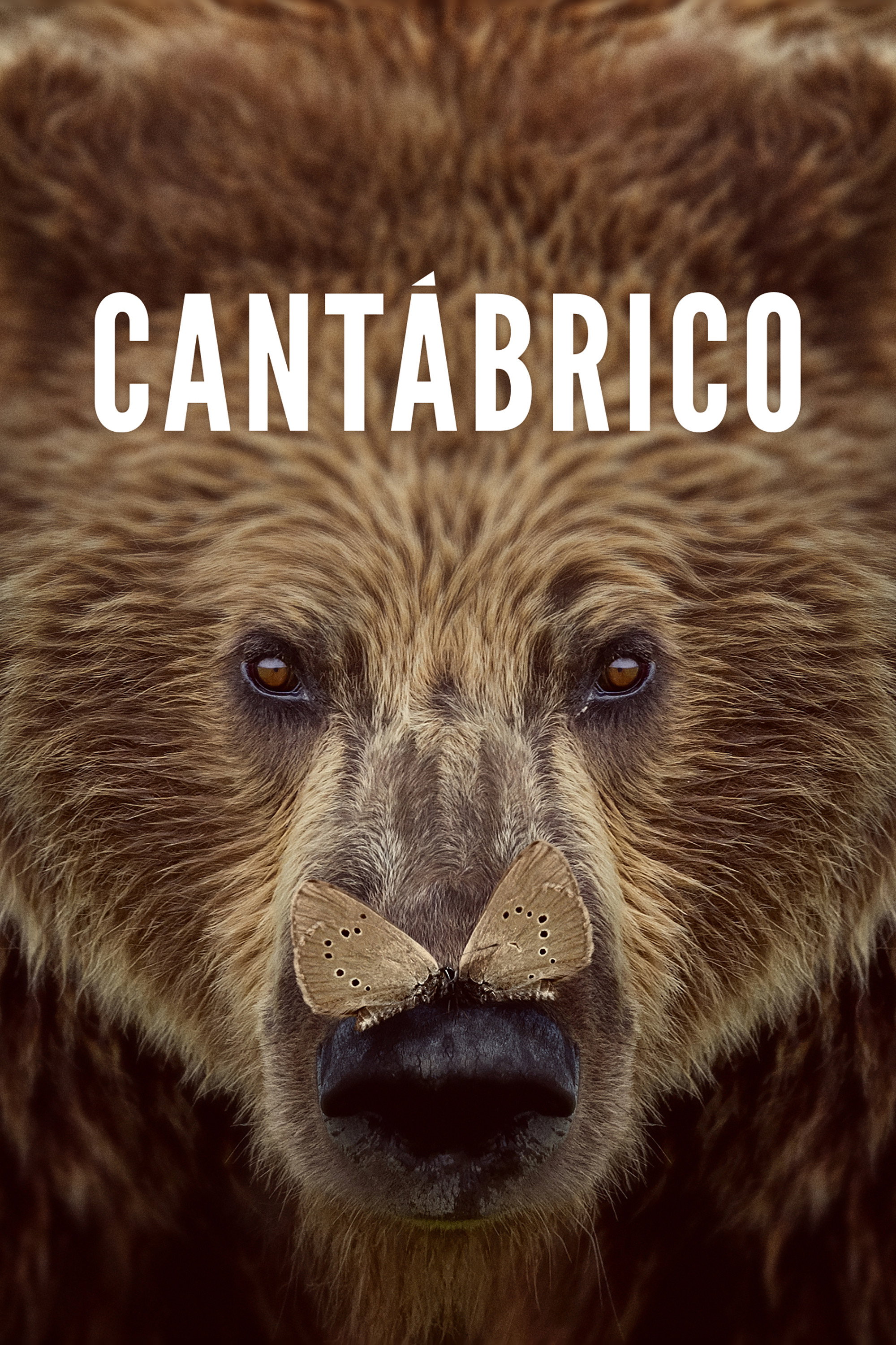 Cant&aacute;brico