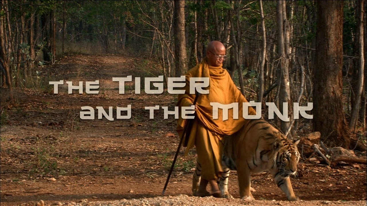 The Tiger and the Monk (2007)