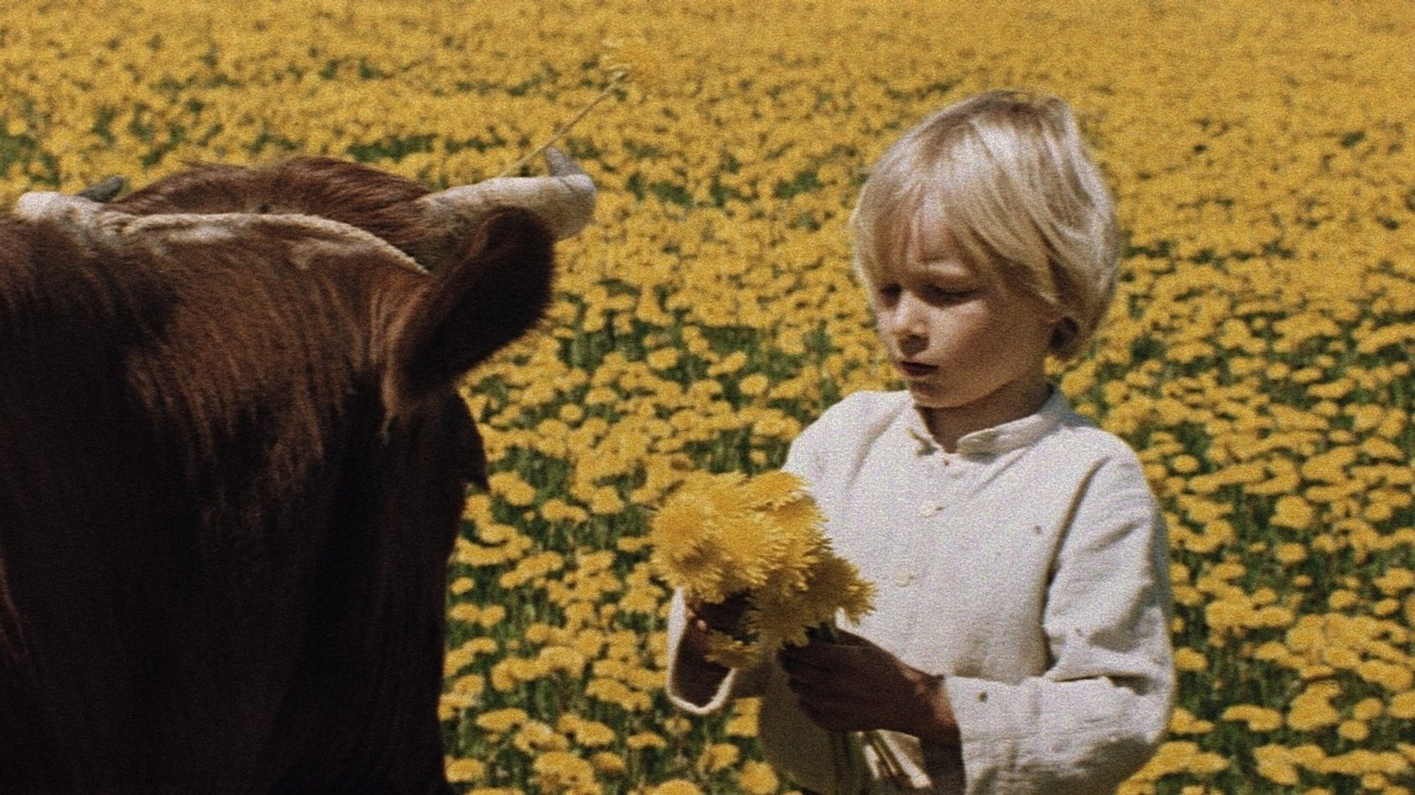 A Boy movie still