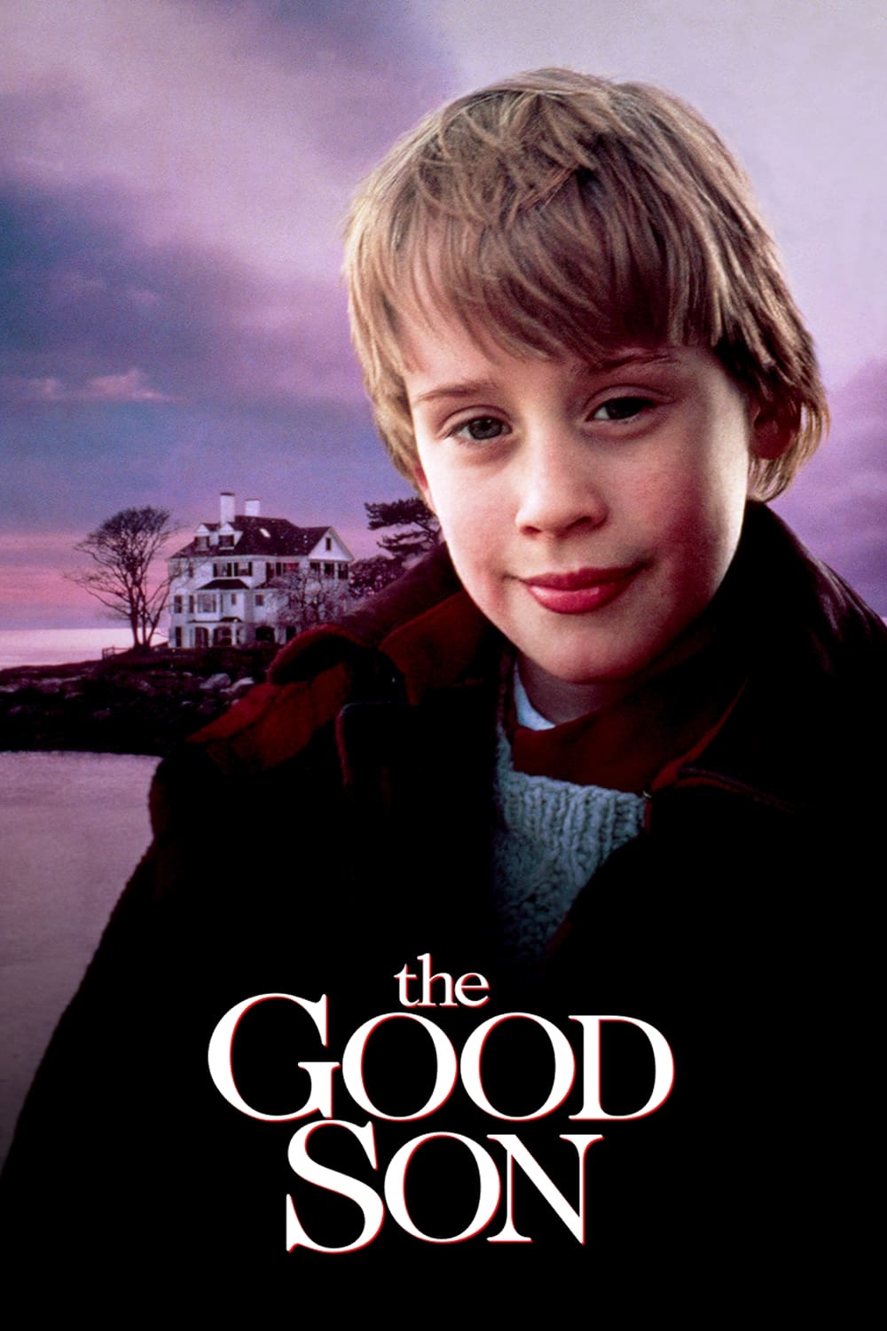 The Good Son Movie poster