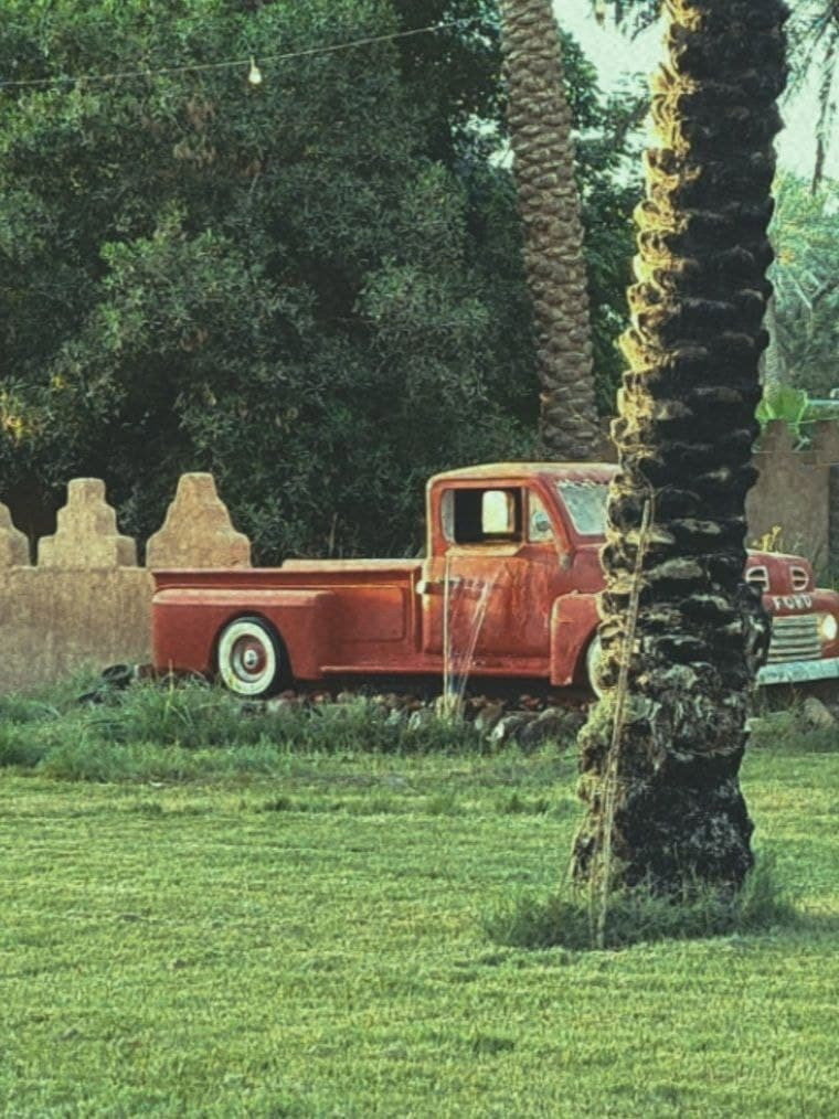 Descargar Morning at the farm (2021) Película Completa en Español Latino HD