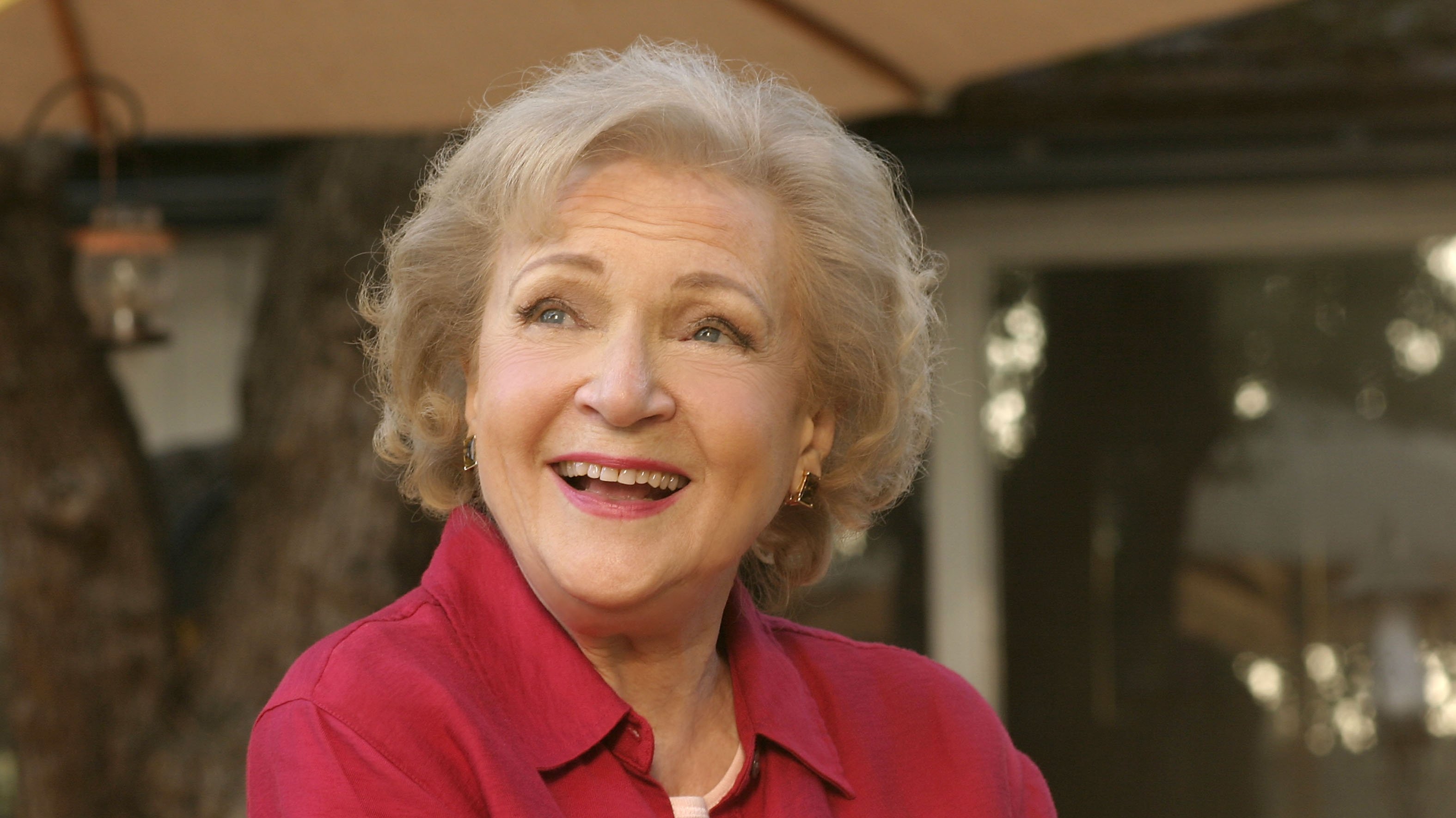 Annie's Point (2005)
