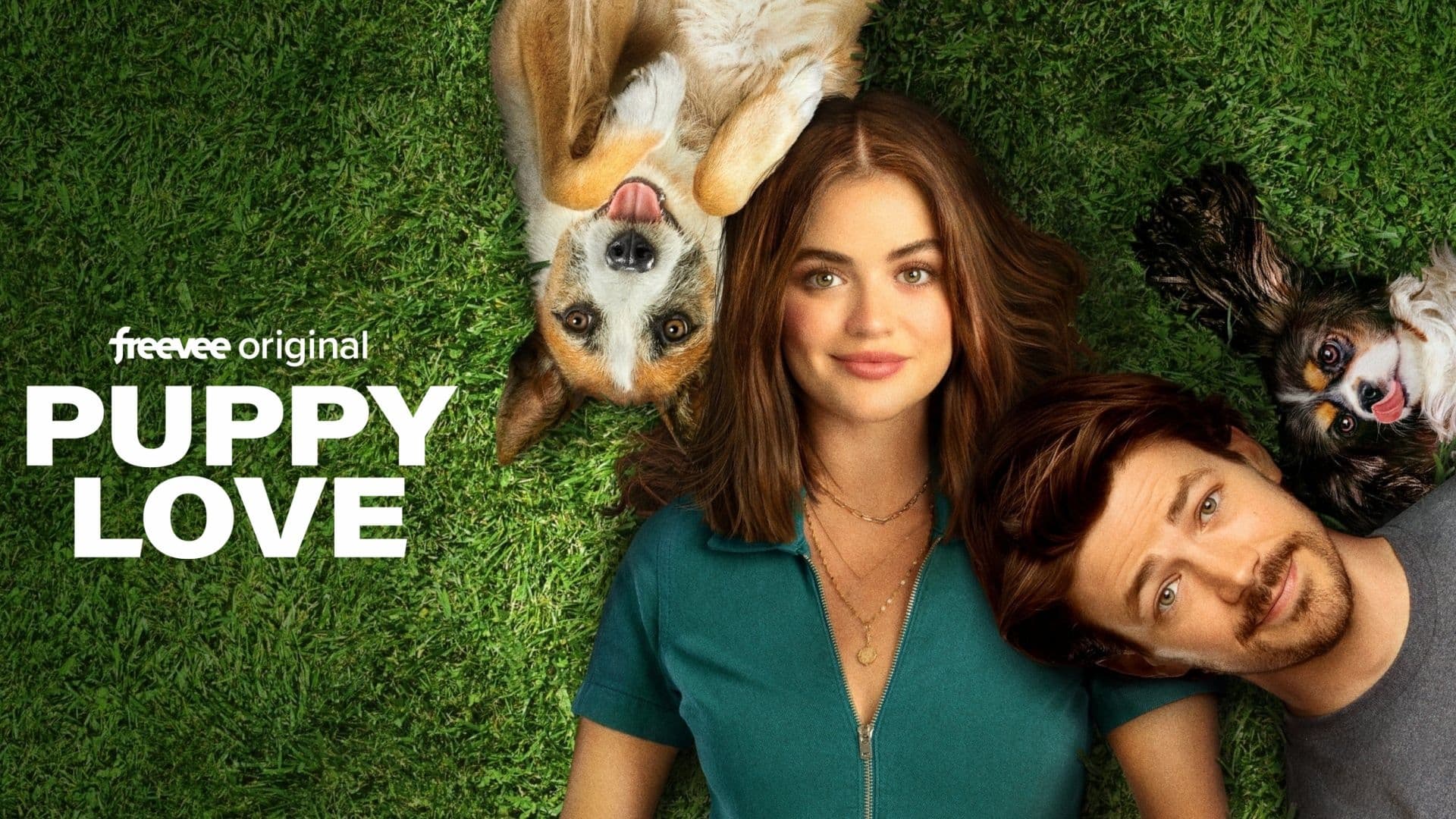 Puppy Love - Hunde zum Verlieben (2023)