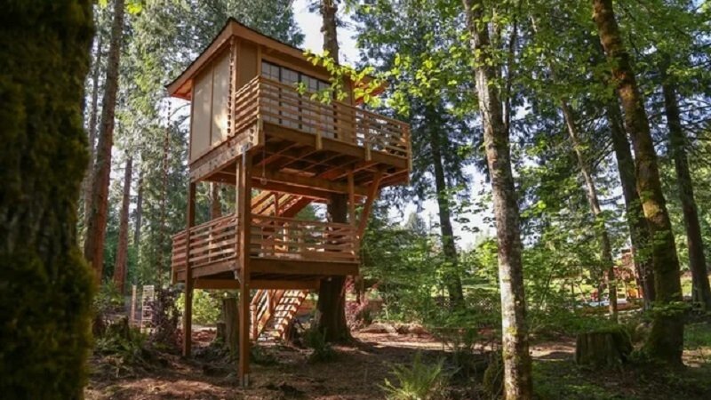Treehouse Masters